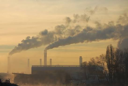 Environmental Triggers